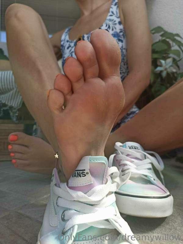 dreamywillow image #12