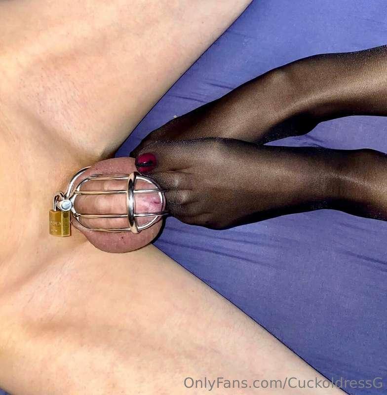 Teasing cucky’s cage with my stockings!