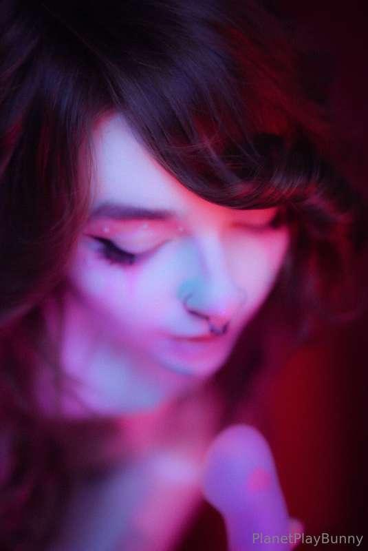 planetplaybunny image #1