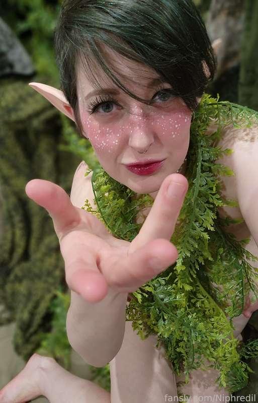 niphredil image #3