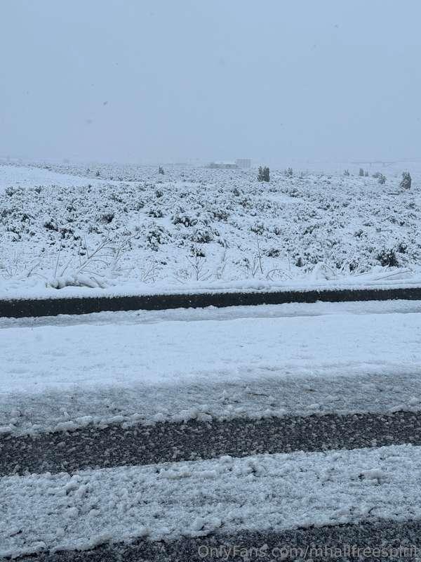 I haven’t posted in a few days, but wanted to share a pictur..