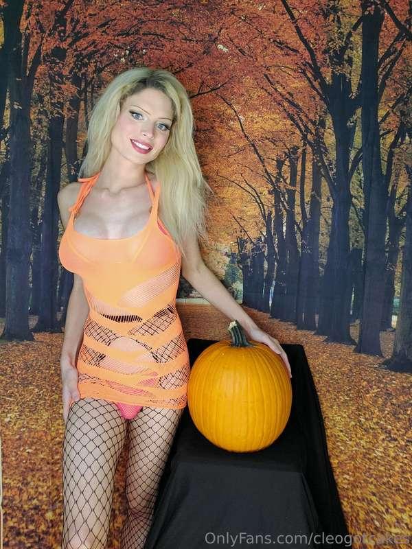 Fall is my favorite season because of the big, round, plump,..