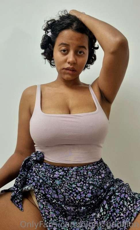 night_papillon image #1