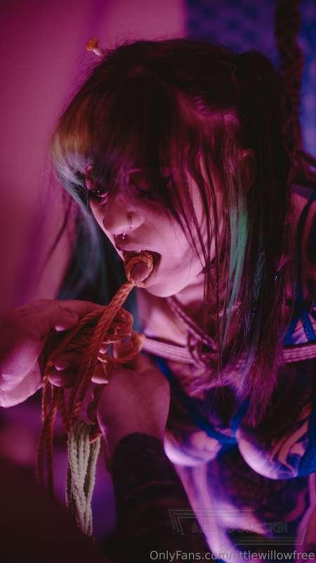 littlewillowfree image #1