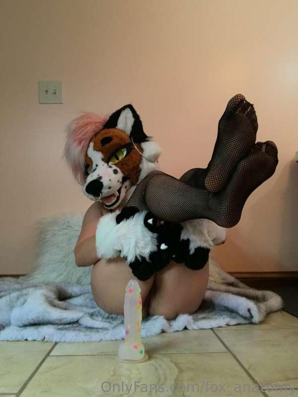 Kiss my paws
