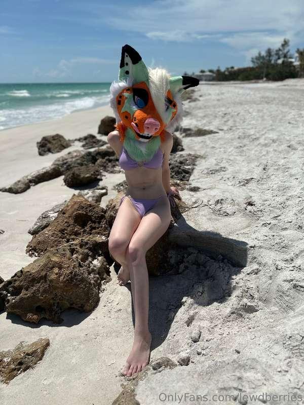 Beach day with Akira, loving that warm sea breeze in my fur ..