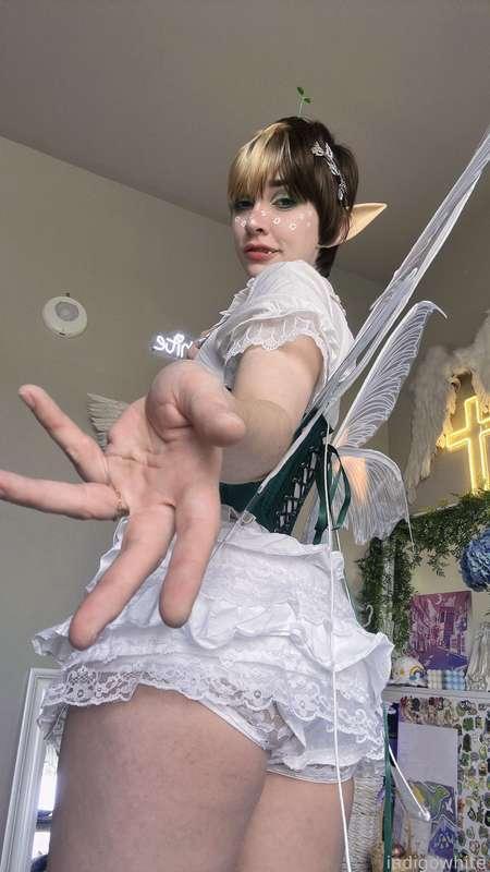 indigowhite image #421