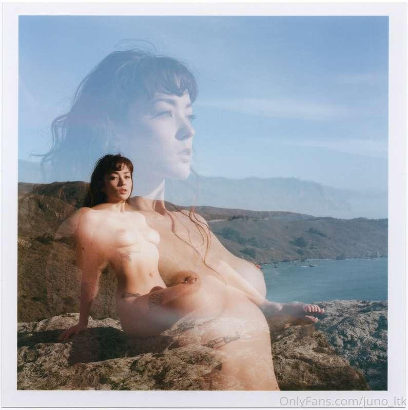 juno_ltk image #1