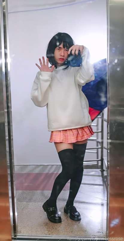 tsprincessrose image #1