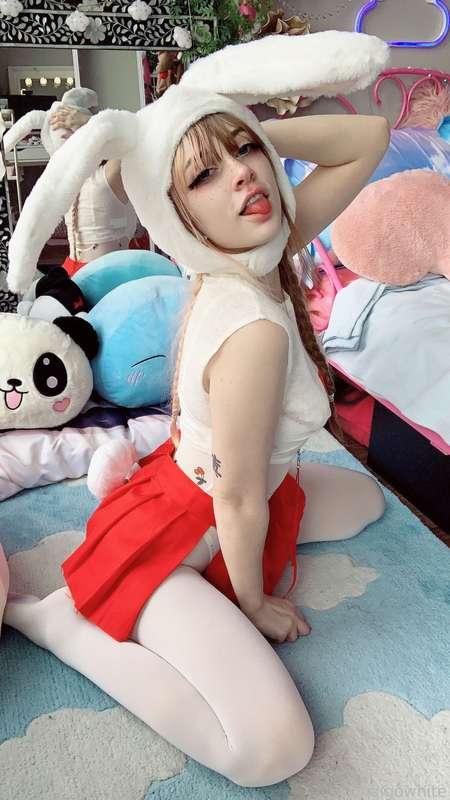 indigowhite image #115