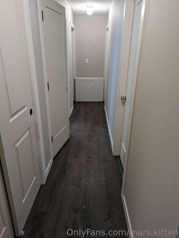 mars.kitten image #1