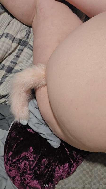 Thick ass with a tail 🤭 better view gotta be paid for.