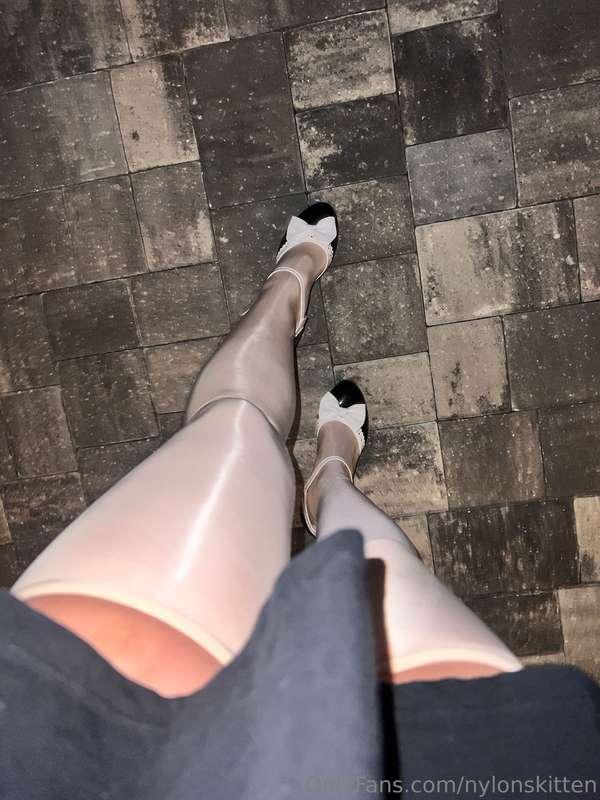 nylonskitten image #1