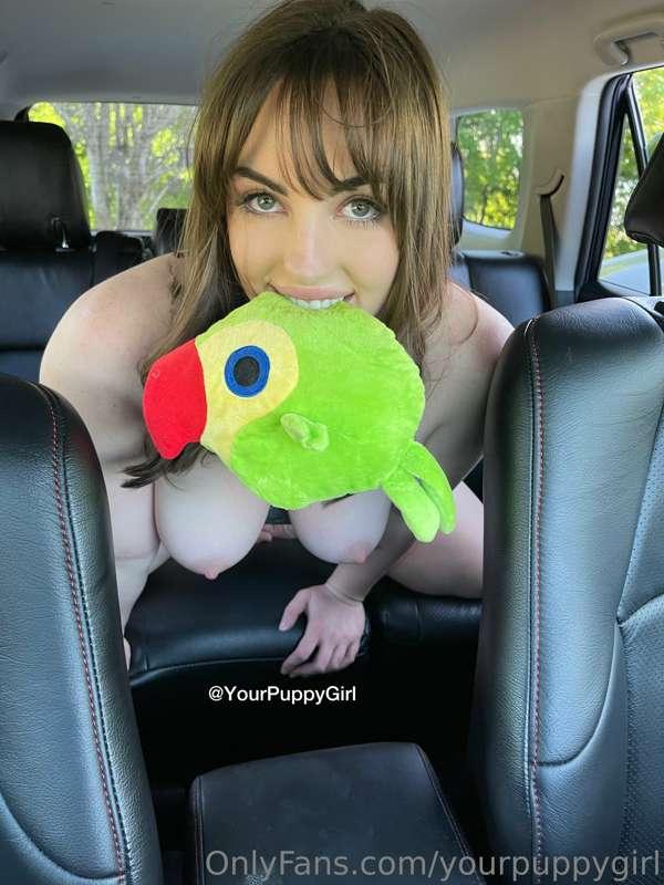 My favorite car toy! 🦜