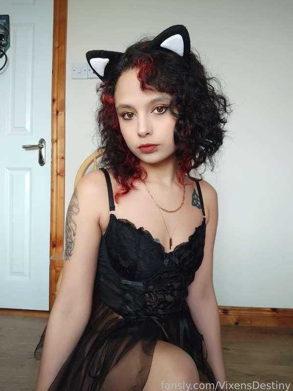 vixensdestiny image #0