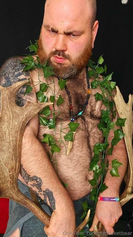 mrpocketbear image #2