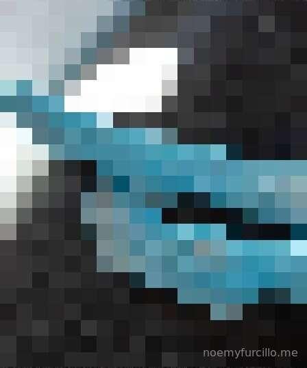 Quiz domenicale 👀Cosa si nasconde dietro questa sfocatura? S..