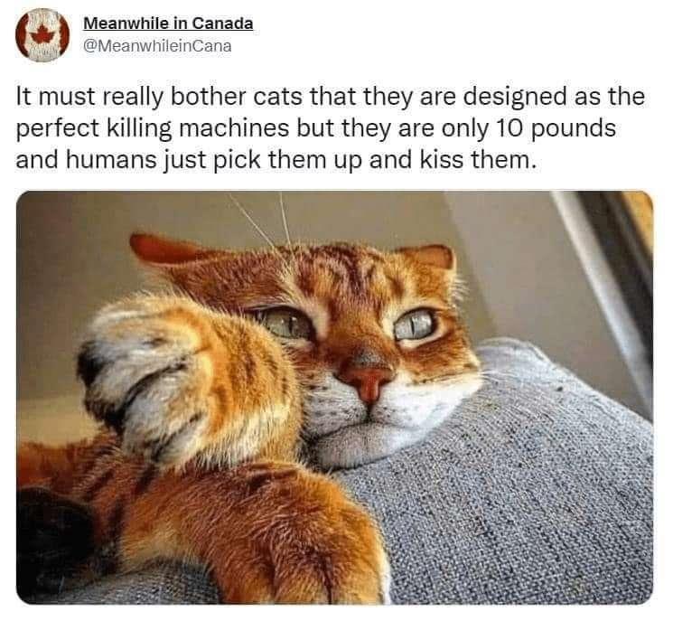 I relate...
