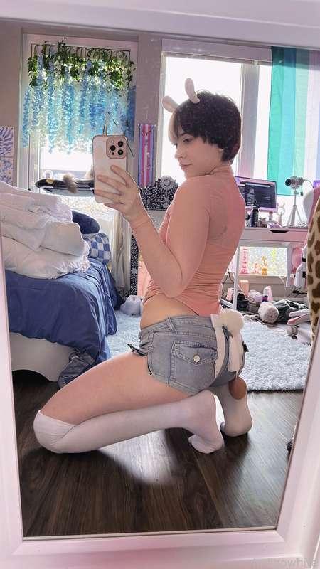 indigowhite image #46