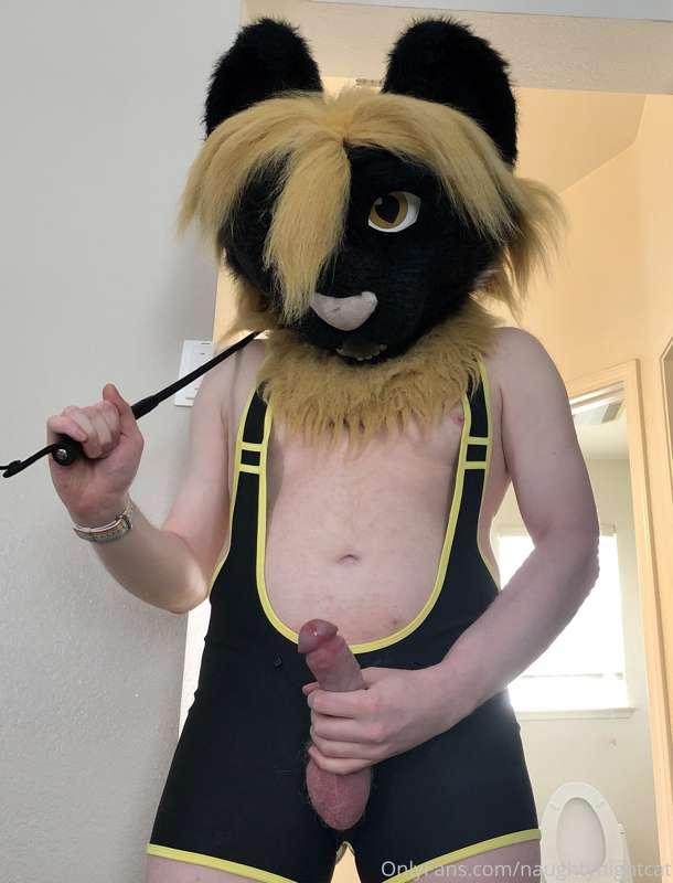 naughtynightcat image #6