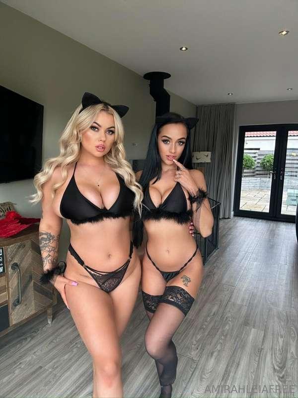Could you make us purrr...