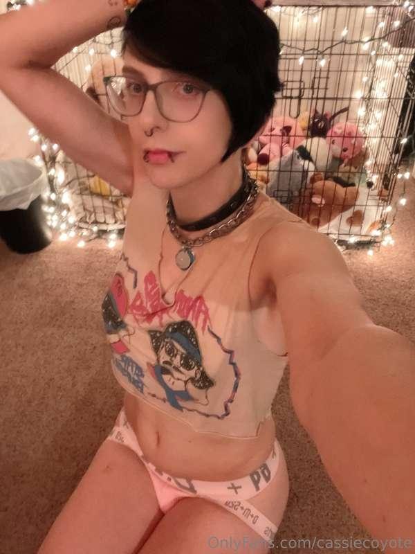 cassiecoyote image #2