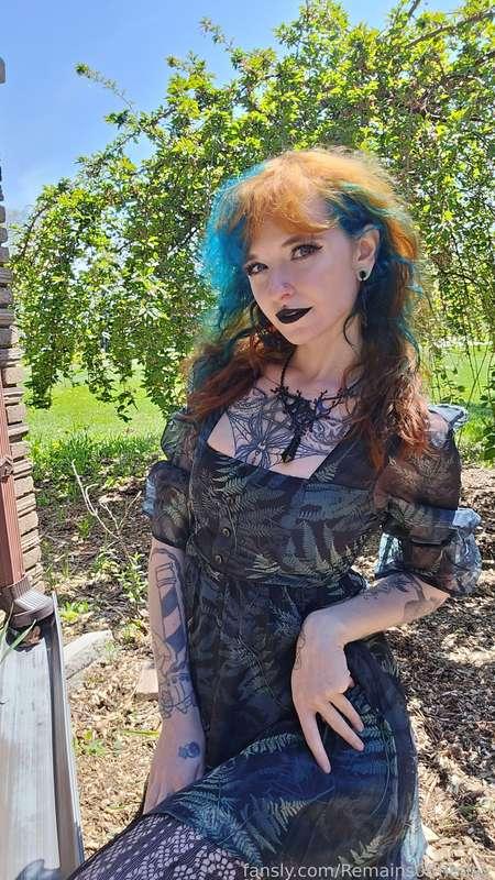 remains0ftheday image #1