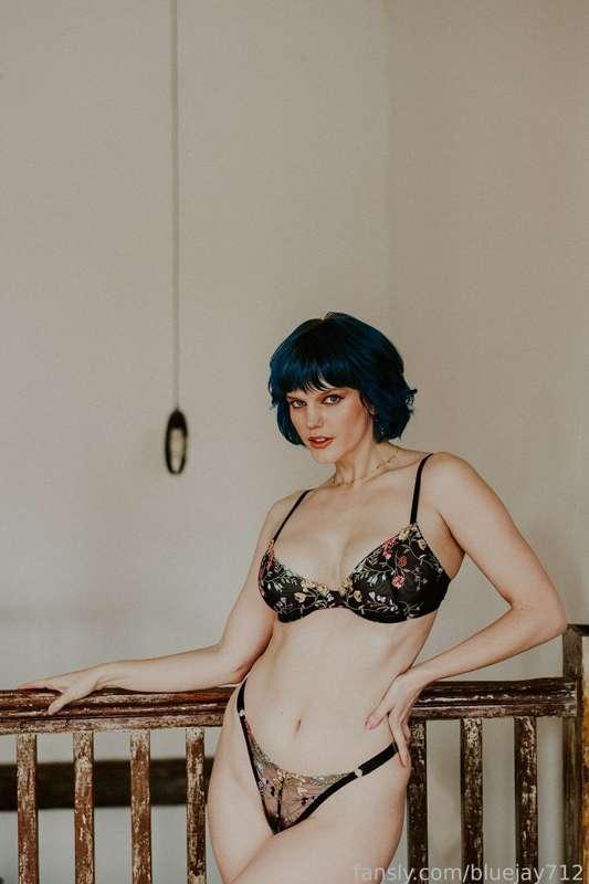 bluejay712 image #3