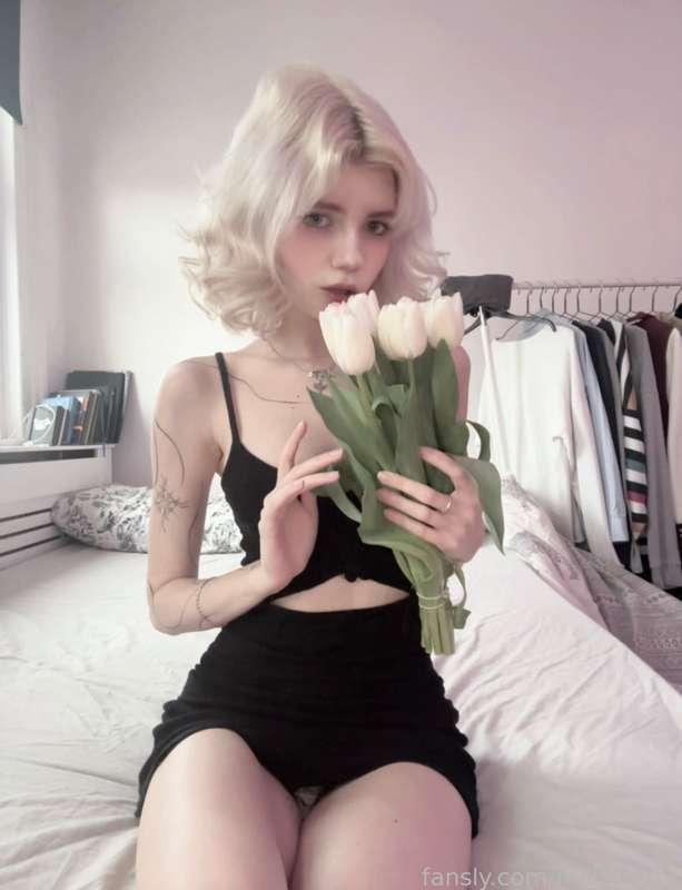 millllykitty image #1