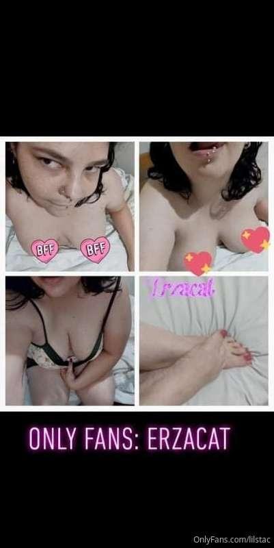 @erzacat