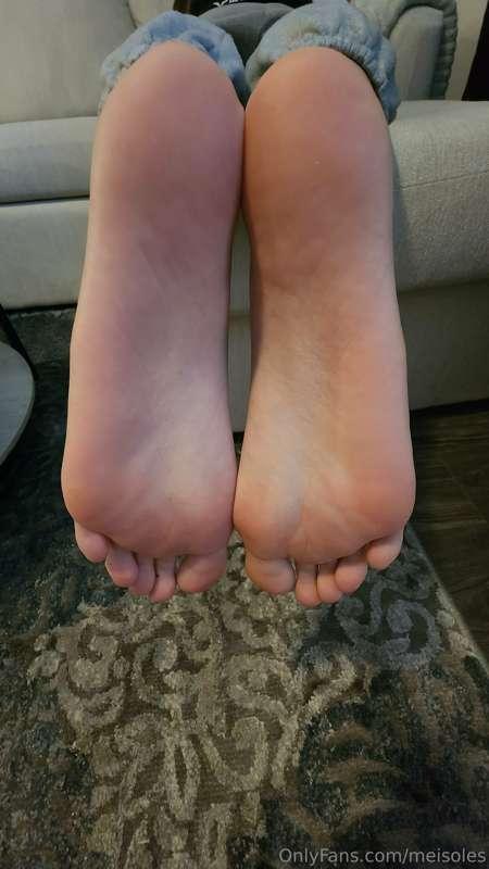 Took yesterday off! But I'm back for sole Sunday. My big asi..