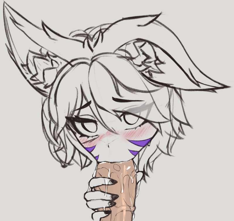 Sage sloppy toppy