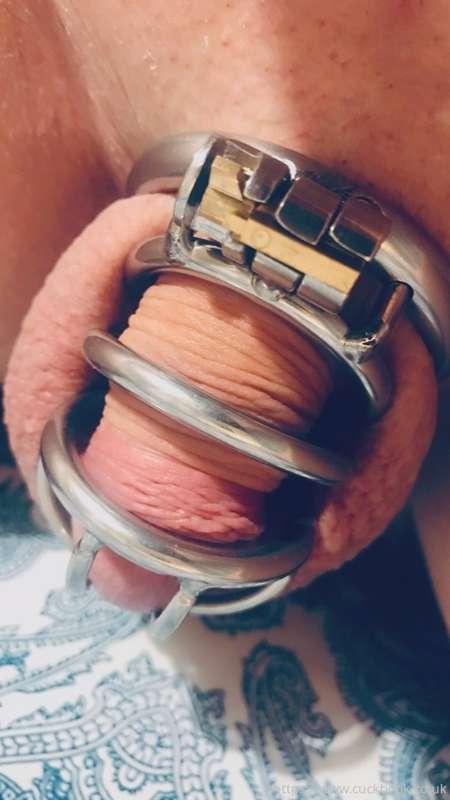 💬 HOW LONG HAVE YOU BEEN LOCKED?

My cuck has been locked in..