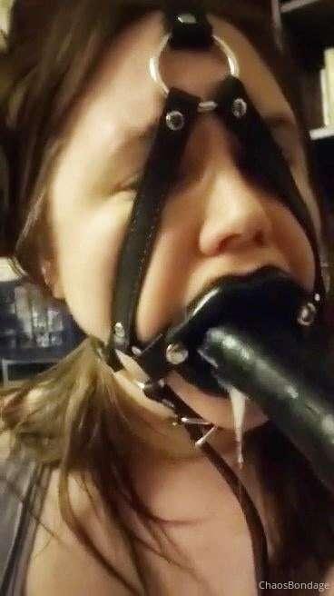 Found a cute gag photo from a year ago. I thought this might..