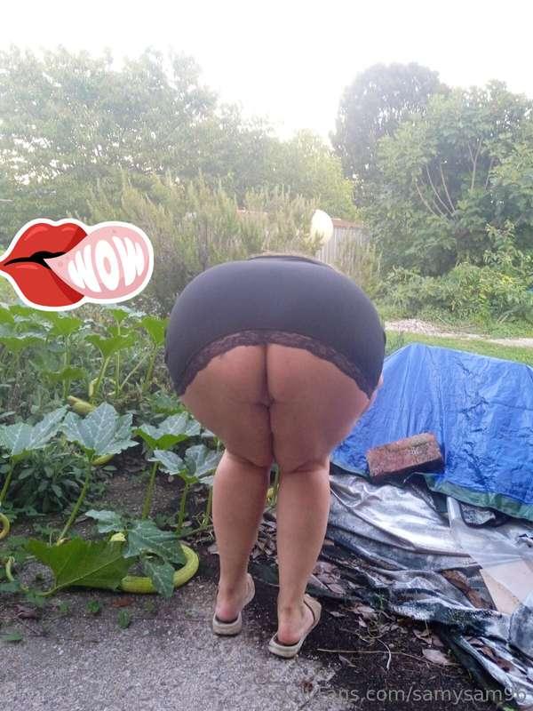 Raccogliendo gli zucchini 😜😜