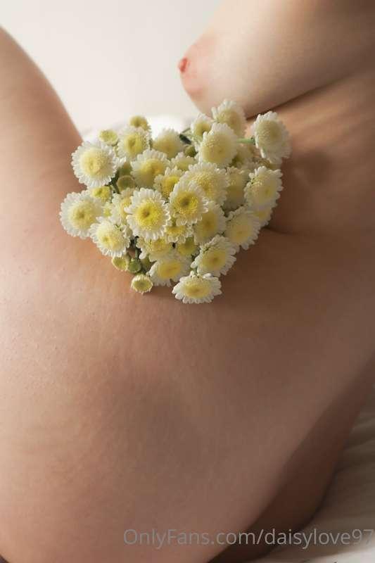 daisylove image #3