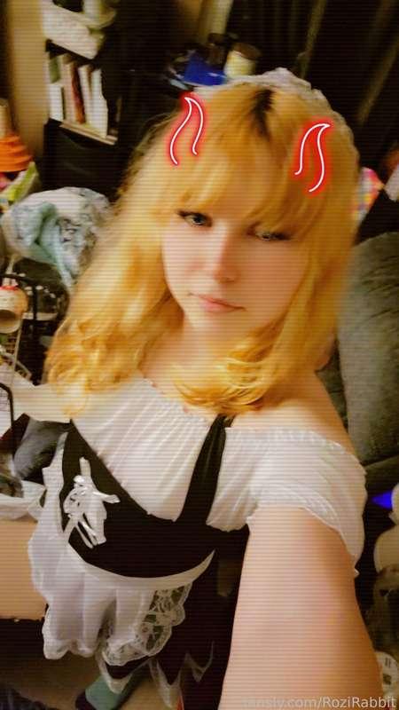 rozirabbit image #0