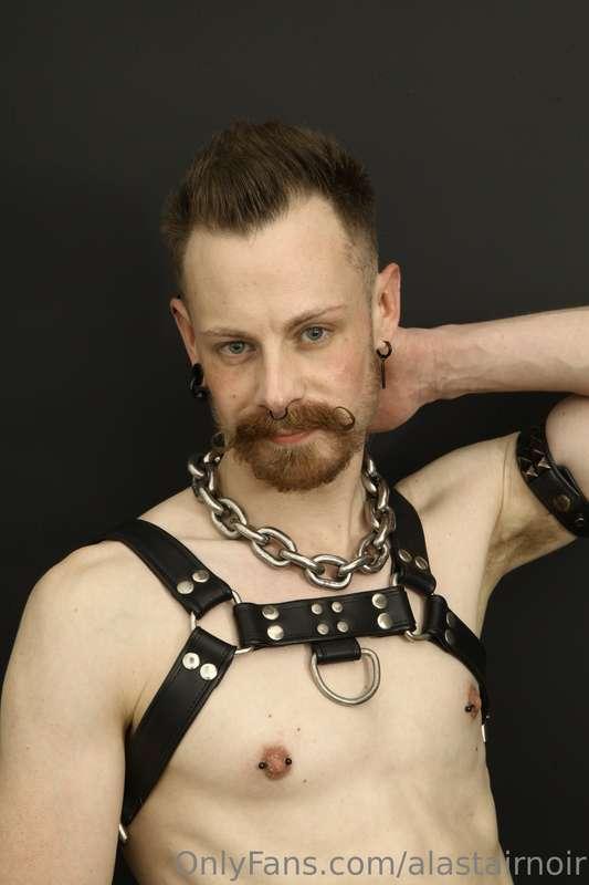 alastairnoir image #12