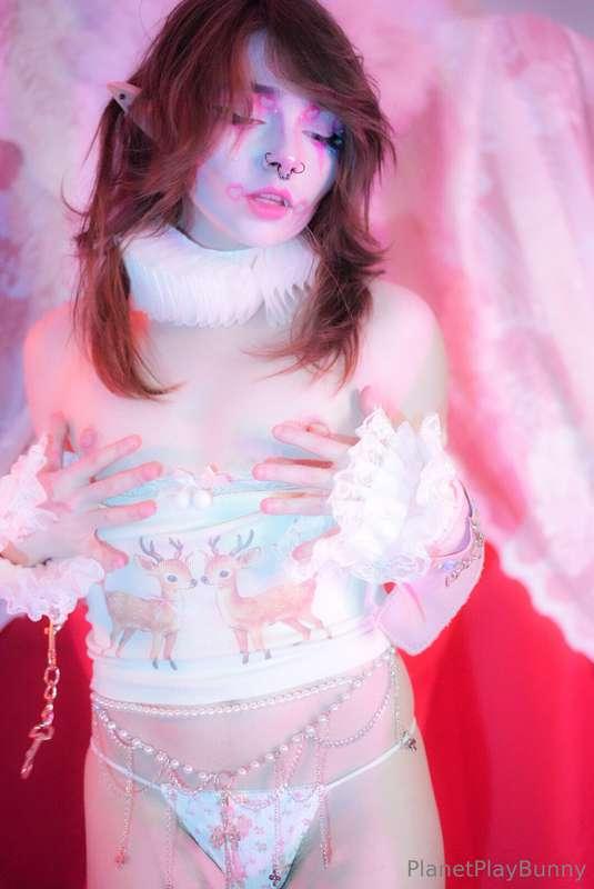 planetplaybunny main image