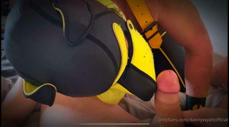 Love getting my dick sucked by masked lads / pups.