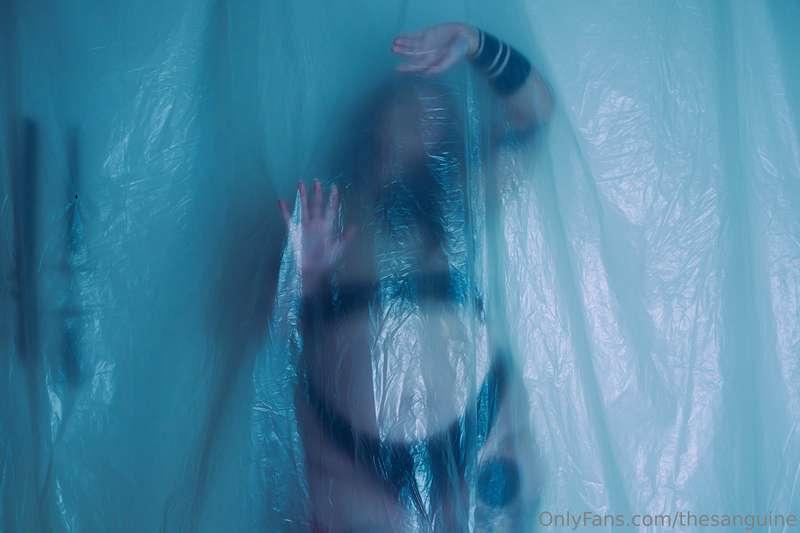 thesanguine image #2