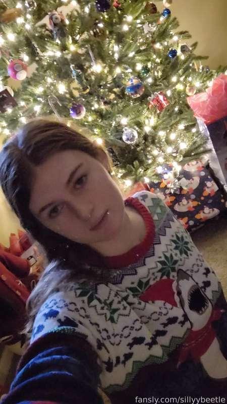 🐾🎄