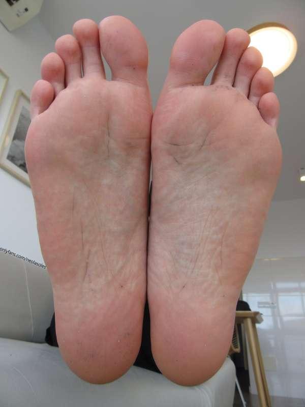 neolasoles image #21