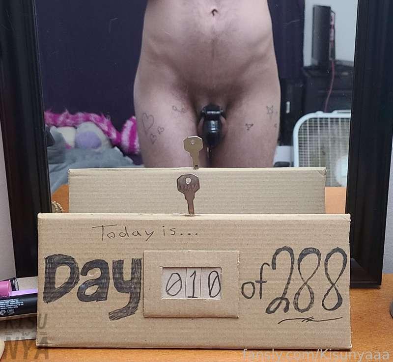 Day 10 of 288~

#fyp #chastity #cockcage #mtf #trans