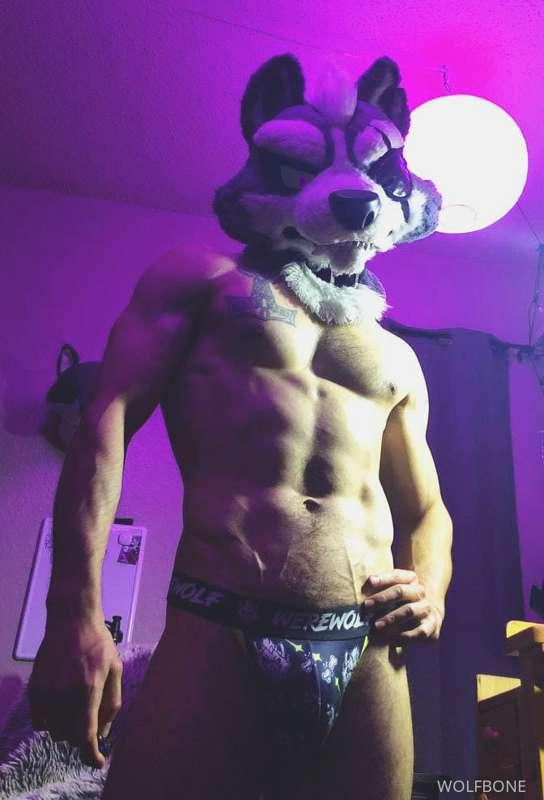 Join me tonight for some wine intimacy! This Wolf desires a ..