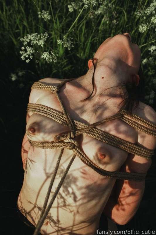 elfie_cutie image #1