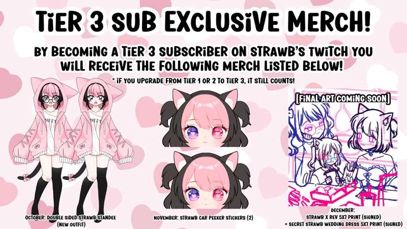 exclusive merch available for tier 3 twitch subs 👀