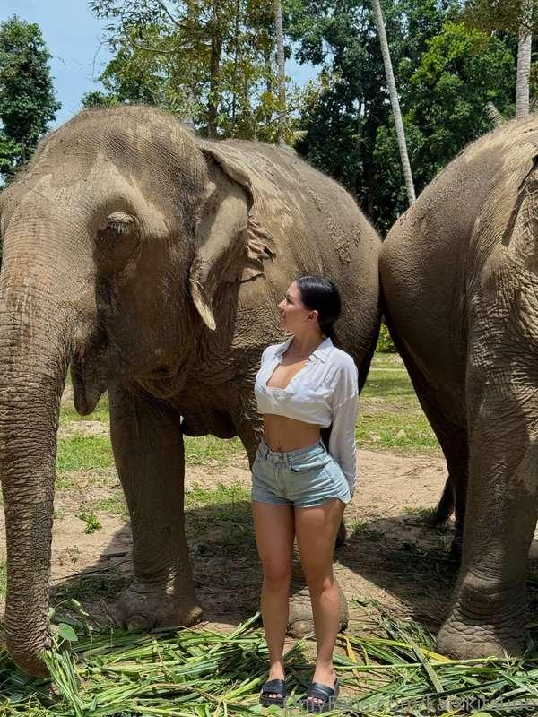 these gentle giants totally stole my heart here in thailand ..
