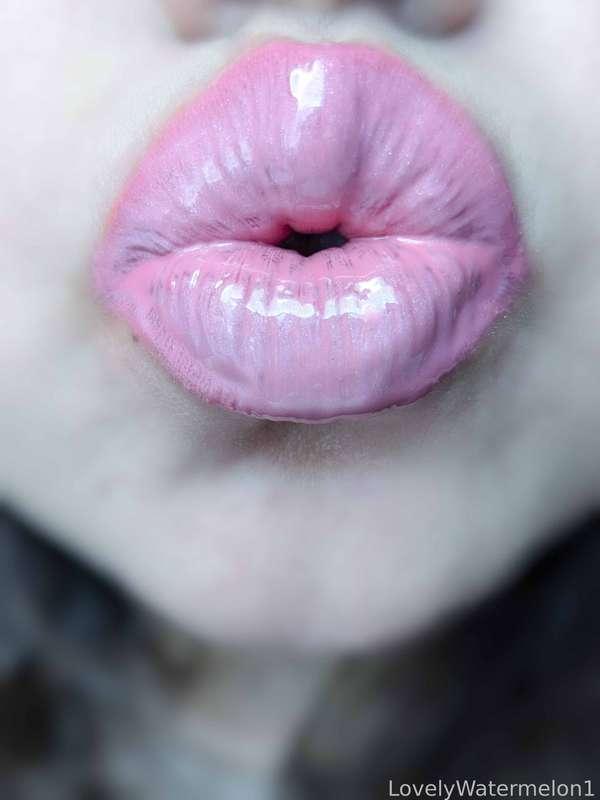 lovelywatermelon1 image #12