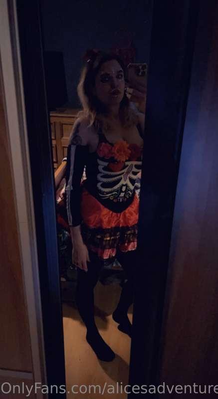 alicesadventuresinfemdom image #1